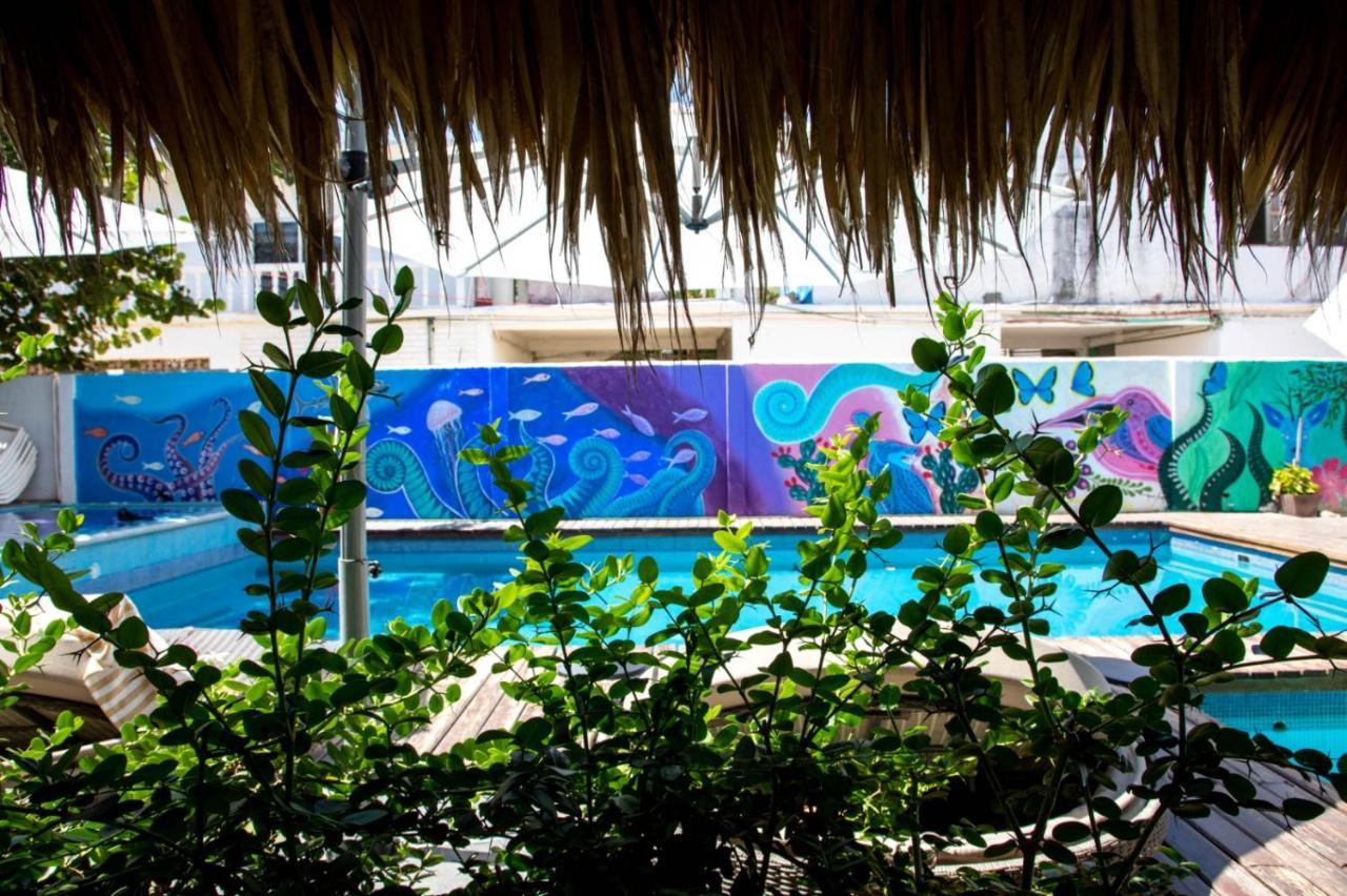 Hotel Playa زيبوليت المظهر الخارجي الصورة